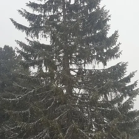 Wildererhütte Helmut Chalet *