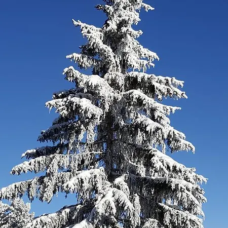 Wildererhuette Helmut *